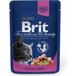 Brit Premium Cat vrecko with Salmon & Trout 100g + Množstevná zľava
