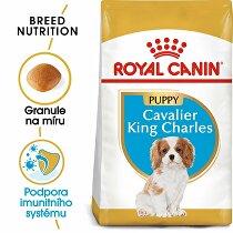 Royal Canin Breed Cavalier King Charles Junior 1,5kg zľava