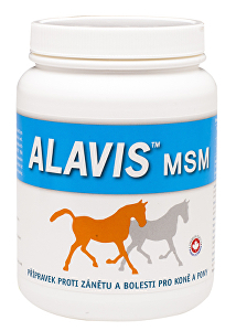 Alavis MSM 600 g