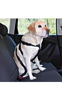 Bezpečnostný postroj do auta pre psov XL Trixie