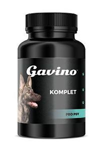 Gavino Complete pre psov 120 cps