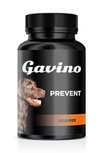Gavino PREVENT 120cps