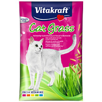 Cat Gras 50g