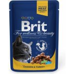 Brit Premium Cat vrecko with Chicken & Turkey 100g