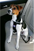 Bezpečnostný postroj do auta pre psov M Zolux
