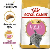 Royal canin Breed Feline Kitten Persian 10kg