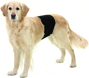 Nohavice proti značkovaniu pre psov 49x14cm 1ks KAR nové