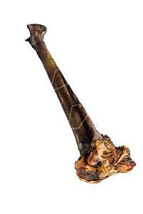 Wolfit Pštrosia kosť dlhá 50-60 cm