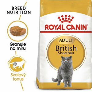 Royal canin Breed Feline Britská krátkosrstá mačka 10kg