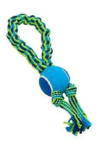 Hračka pre psov Bungee Loop s tenisovou loptičkou modrá/zelená 33cm