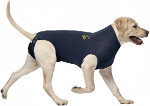 Ochranný oblek MPS Dog 40cm XS